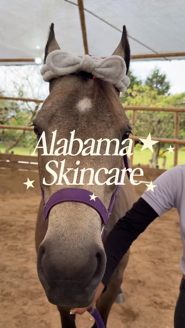 Estoy a una clase de comprarme un caballo 😭🌵🙌🏼✨ Alabama ... porn video - Secreto Mio