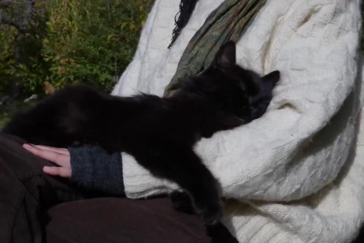 Laura Daniela porn video - Secreto Mio