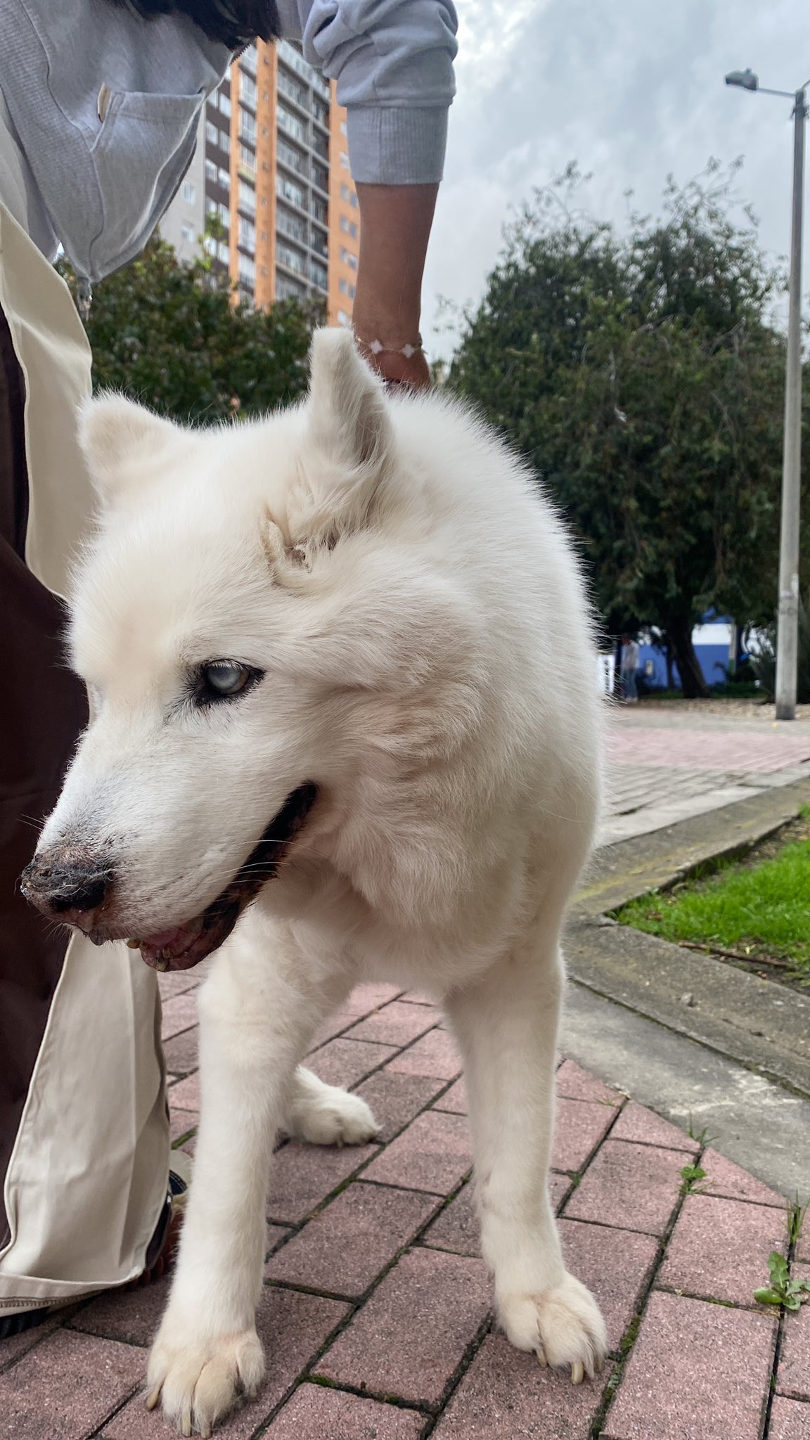 Babe Luuu aesthetic photo - Secreto Mio